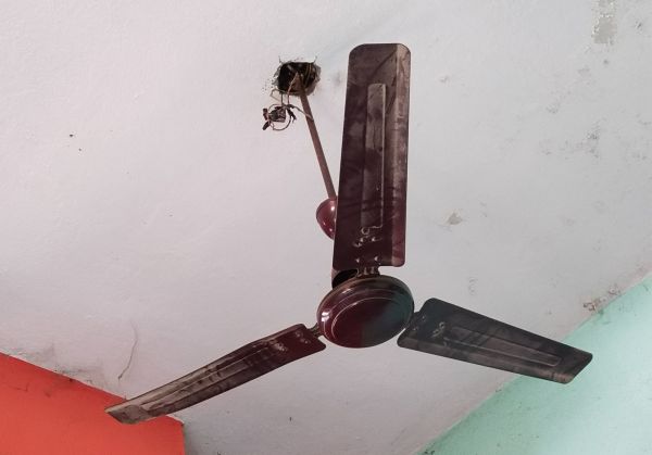 Ceiling Fan Removal